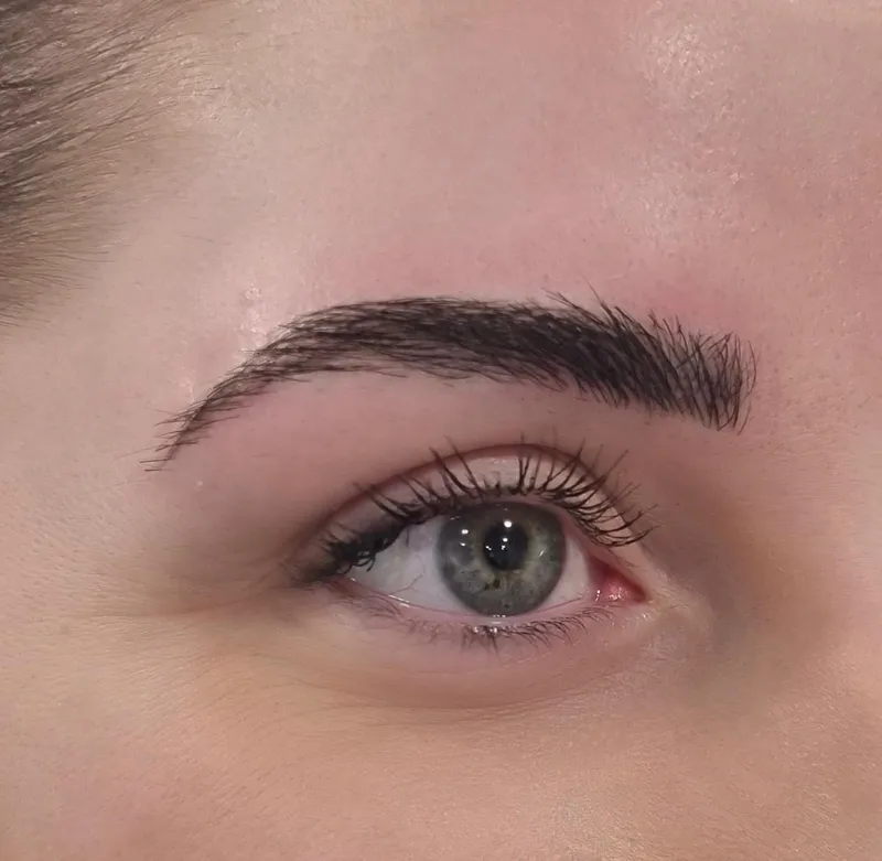 Close-up of a healed microbladed eyebrow with a natural hair-stroke finish