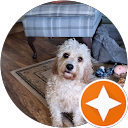 Debbie Noble profile picture